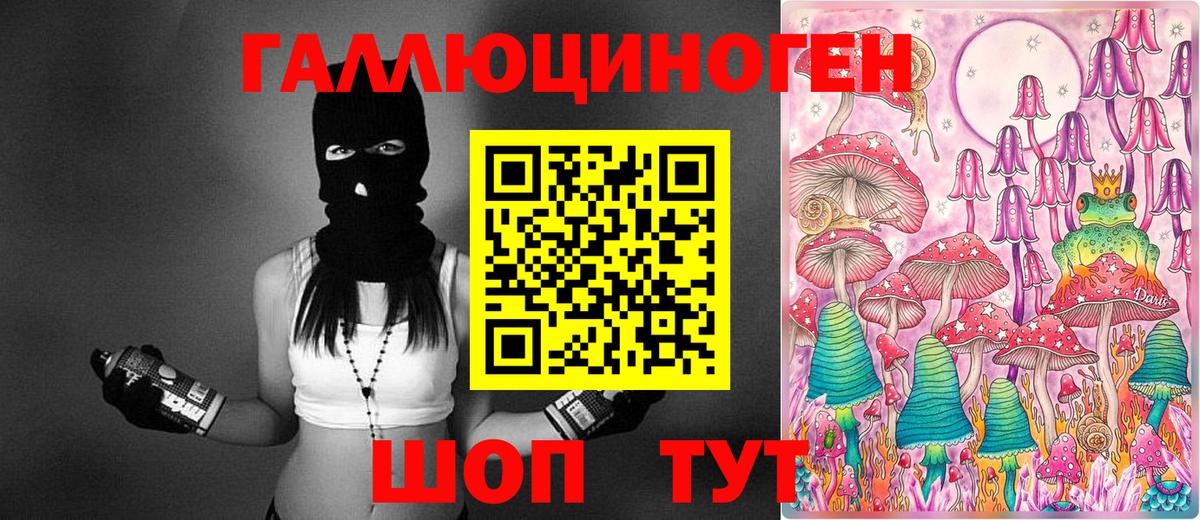 Псилоцибиновые грибы мицелий Саратов